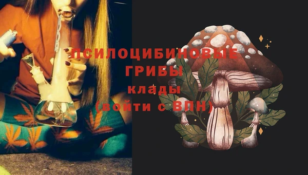 метадон Алексеевка