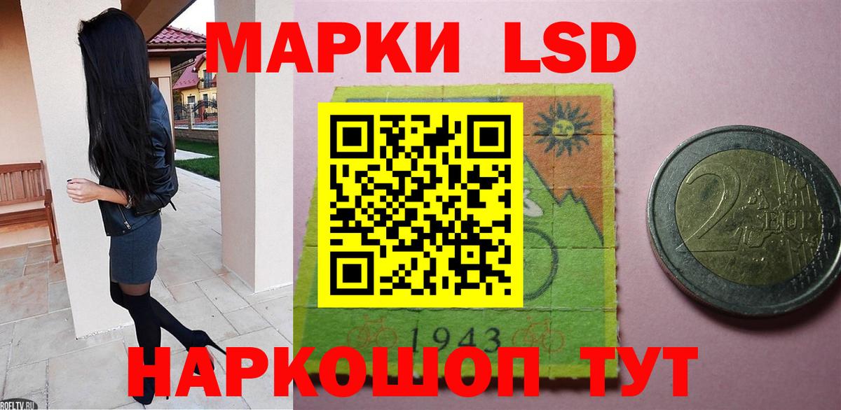 Каннабис Прохладный