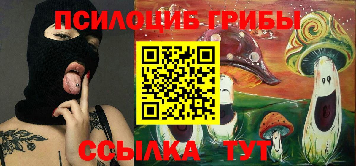 как найти наркотики  Галлюциногенные грибы мухоморы  Вход с VPN  Прохладный 